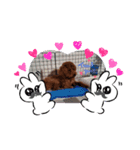 gap@ajh@k（個別スタンプ：1）