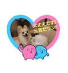 LUNA＆SEAちゃん mixdog『ハロウィン～』（個別スタンプ：14）