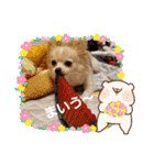 LUNA＆SEAちゃん mixdog『ハロウィン～』（個別スタンプ：18）