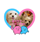 LUNA＆SEAちゃん mixdog『ハロウィン～』（個別スタンプ：23）