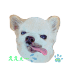♡チロたんでしゅ♡（個別スタンプ：19）