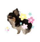 tomeicc（個別スタンプ：3）