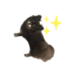 tomeicc（個別スタンプ：4）