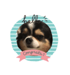 tomeicc（個別スタンプ：5）