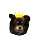 tomeicc（個別スタンプ：6）