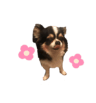 tomeicc（個別スタンプ：7）