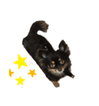 tomeicc（個別スタンプ：12）