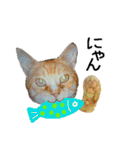 ちいにゃさんとおかあさん（個別スタンプ：1）