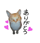 ちいにゃさんとおかあさん（個別スタンプ：3）