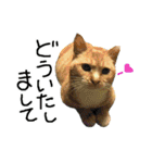 ちいにゃさんとおかあさん（個別スタンプ：4）