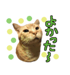 ちいにゃさんとおかあさん（個別スタンプ：7）