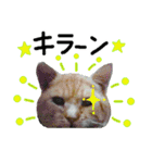 ちいにゃさんとおかあさん（個別スタンプ：8）