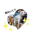 かぶとタバのお家1（個別スタンプ：9）
