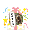 かぶとタバのお家1（個別スタンプ：12）