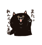 黒猫の日常会話【ウチノコイチバン】（個別スタンプ：19）