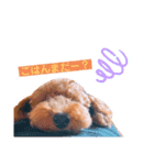 うちのといぷーれお（個別スタンプ：5）