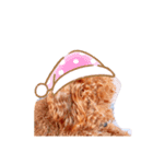 うちのといぷーれお（個別スタンプ：12）