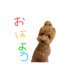 うちのといぷーれお（個別スタンプ：13）