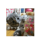 千秋くんとうみたん3（個別スタンプ：6）
