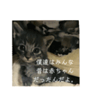 千秋くんとうみたん3（個別スタンプ：8）