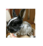 千秋くんとうみたん3（個別スタンプ：9）
