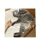 千秋くんとうみたん3（個別スタンプ：10）