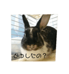 千秋くんとうみたん3（個別スタンプ：11）