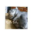 千秋くんとうみたん3（個別スタンプ：13）