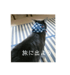 千秋くんとうみたん3（個別スタンプ：17）