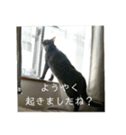 千秋くんとうみたん3（個別スタンプ：19）
