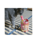 千秋くんとうみたん3（個別スタンプ：20）