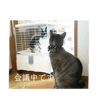 千秋くんとうみたん3（個別スタンプ：23）