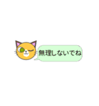 トーク風 猫顔スタンプ Vol.1（個別スタンプ：25）