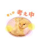 みりとぴよ（個別スタンプ：2）