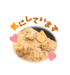 みりとぴよ（個別スタンプ：3）