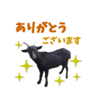 みりとぴよ（個別スタンプ：5）