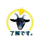 みりとぴよ（個別スタンプ：7）