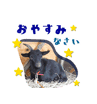 みりとぴよ（個別スタンプ：8）