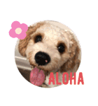 This is my happy puppy！（個別スタンプ：2）