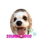 This is my happy puppy！（個別スタンプ：12）