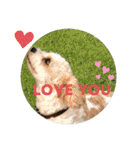 This is my happy puppy！（個別スタンプ：29）