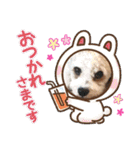 This is my happy puppy！（個別スタンプ：35）