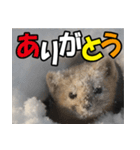 元気チャージ★大切な毎日に無難なスタンプ（個別スタンプ：1）