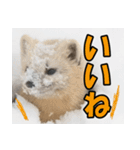 元気チャージ★大切な毎日に無難なスタンプ（個別スタンプ：2）
