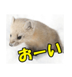 元気チャージ★大切な毎日に無難なスタンプ（個別スタンプ：4）