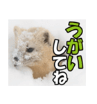元気チャージ★大切な毎日に無難なスタンプ（個別スタンプ：5）