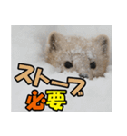 元気チャージ★大切な毎日に無難なスタンプ（個別スタンプ：6）