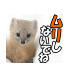 元気チャージ★大切な毎日に無難なスタンプ（個別スタンプ：8）