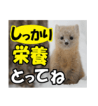 元気チャージ★大切な毎日に無難なスタンプ（個別スタンプ：9）