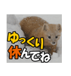 元気チャージ★大切な毎日に無難なスタンプ（個別スタンプ：10）